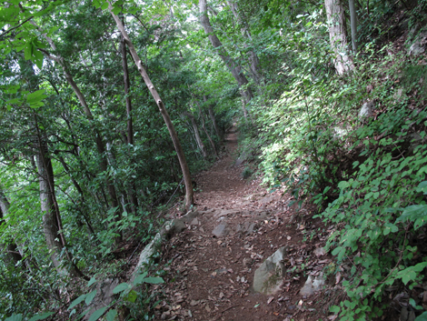20171005hike (177)